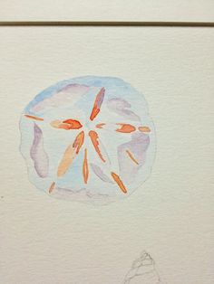 a watercolor drawing of an orange fish in the middle of it's shell