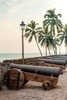 there are many wooden barrels lined up on the brick wall next to the ocean and palm trees