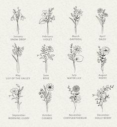 the different types of flowers are shown in black and white