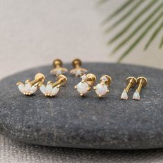 four pairs of opalite and diamond studs on a rock with palm tree in the background