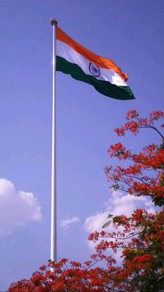 Republic Day Flag Images, Aesthetic Republic Day India, Flag Pictures India, India Flag Aesthetic Wallpaper, Aesthetic Flag India, Flag Images India, Indian Flag Aesthetic Wallpaper, Republic Day Pictures, Republic Day Aesthetic Wallpaper