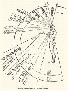 planos Emotion Frequency, Universe Light, Kuantan, Vibrational Energy, E Mc2, Speak English, Quantum Physics