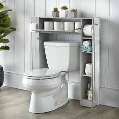 a white toilet sitting in a bathroom next to a shelf