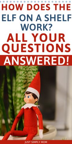 an elf sitting on top of a potted plant with the text how does the elf on a shelf work?