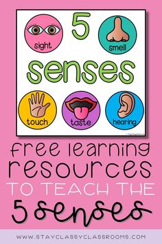 the five senses poster with text that says 5 different ways to teach children how to use them