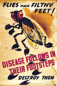 an old poster with the words, flies have filthy feet disease follows in their footsteps destroy them