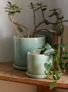 two green planters sitting on top of a wooden shelf next to books and plants