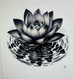 a black and white drawing of a lotus flower with water droplets on the bottom half of it