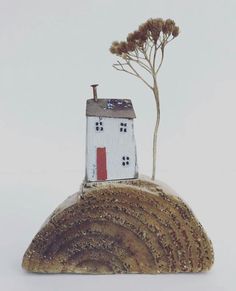 a small house sitting on top of a rock with a tree growing out of it