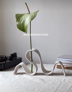 a white vase with a green plant in it next to two books and a record player