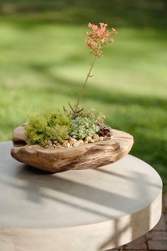 a small planter sitting on top of a table