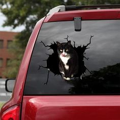 a cat sticking its head out of the window of a red car with it's paw