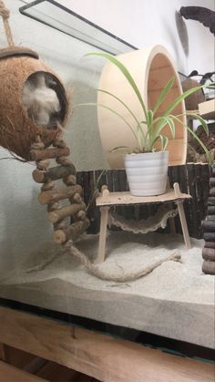 there is a cat sitting in a planter next to some rocks and a potted plant