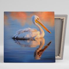 a painting of a pelican in the water with its reflection on the water