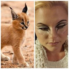 Cute Animal Halloween Makeup, Lion Inspired Makeup, Feline Makeup Look, Animal Makeup Ideas, Realistic Cat Makeup, Animal Eye Makeup, Cute Animal Makeup, Animal Print Makeup Looks, Lion Makeup Women