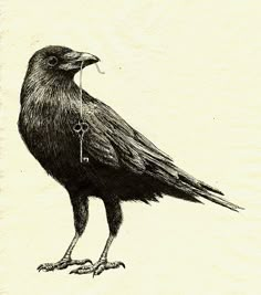 a drawing of a black bird with its beak open