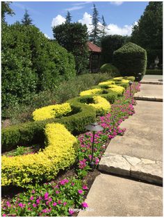 the garden is full of colorful flowers and shrubs