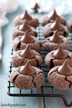 chocolate covered cookies cooling on a wire rack