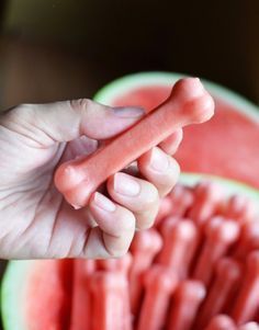 a person holding a dog bone in front of a watermelon