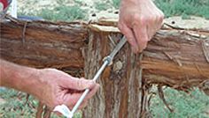 Easy DIY: How to Build a Hitching Post - Farm And Garden - GRIT Magazine Hitching Post For Horses, Paddock Paradise