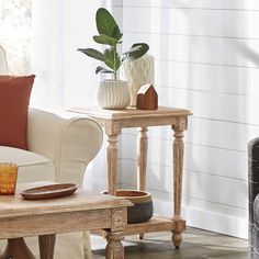 a living room scene with focus on the coffee table and chair, which has a potted plant on it