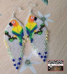 a pair of colorful parrots are hanging from earrings