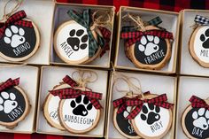 four wooden slices with dog paw prints are displayed in small boxes on a red and black checkered tablecloth