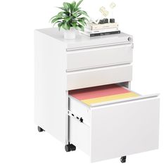 a white filing cabinet with two drawers and a plant on top