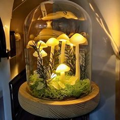 a glass dome filled with mushrooms and moss