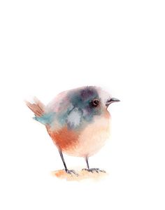 a watercolor painting of a small bird sitting on the ground in front of a white background