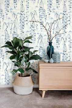 a potted plant sitting on top of a wooden dresser next to a wallpaper