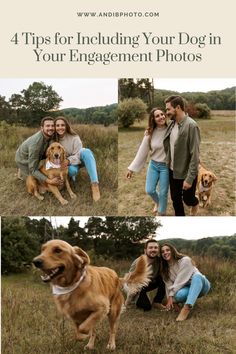 a couple and their dog in the grass with text overlay that reads 4 tips for including your dog in your engagement photos