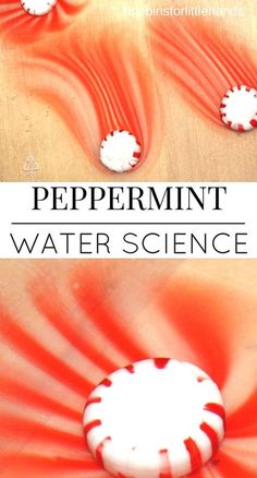 the cover of peppermint water science, with red and white swirls on it