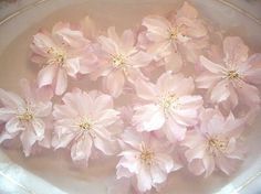 pink flowers are floating in a white bowl