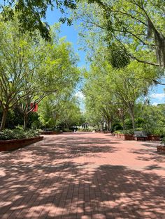 an empty brick road surrounded by trees and plants