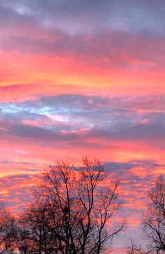 the sky is pink and purple with trees in front of it as the sun sets