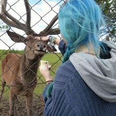 a woman with blue hair is looking at a deer through a chain link fence in an enclosure