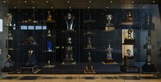 an assortment of trophies on display in a glass case with black walls and flooring