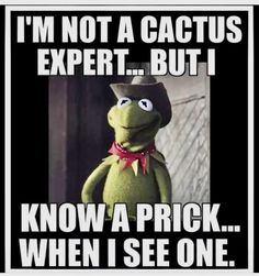 kermik the frog with caption i'm not a cactus expert but i know a pick when i see one