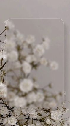 a vase filled with white flowers on top of a table