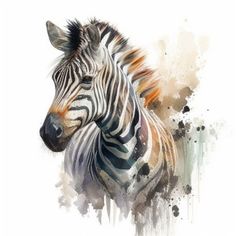 a watercolor painting of a zebra's head and neck, in front of a white background