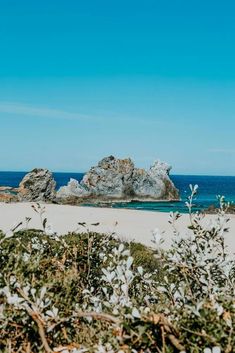 the beach is surrounded by rocks and plants