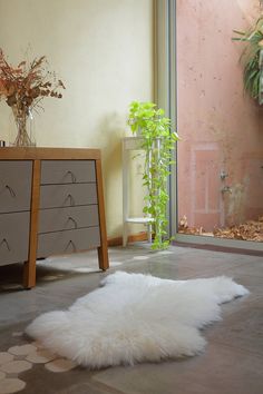 Single Sheepskin Rug  - White (2.5´x 3.5´) Lambskin Rug, Wooden Side Tables, Sheepskin Rugs, Furniture Design Wooden, Fur Rug, Chair Bed, Sheepskin Rug, Seasonal Home Decor, Porcelain Floor Tiles