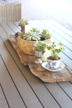 a wooden table topped with potted plants on top of a wooden slab next to a cup and saucer