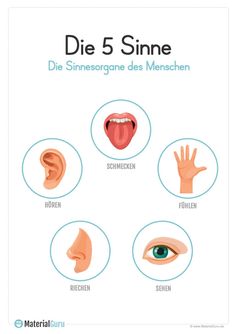 the cover of die 5 sine, which shows different types of mouth and nose