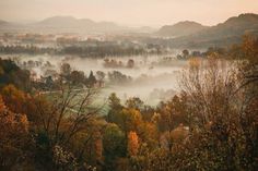 a foggy valley filled with lots of trees and hills in the distance are covered in fall foliage