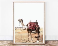 a camel in the desert with a saddle on its back