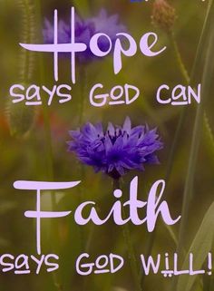 a purple flower with the words hope says god can faith says god will