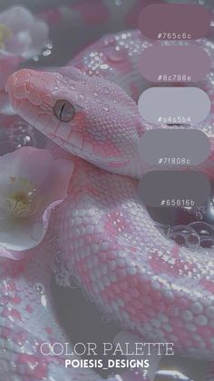 a pink snake with white flowers on it's head and the words color palette