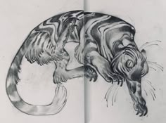 a pencil drawing of a cat jumping up and down